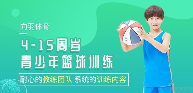 杭州向羽体育篮球培训