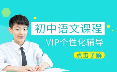 南京初中语文VIP小班