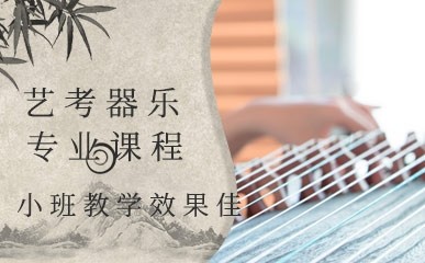 长沙艺考器乐专业培训班