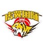 郑州虎翼国际篮球学院logo
