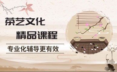 南京茶艺文化1-4人小班培训