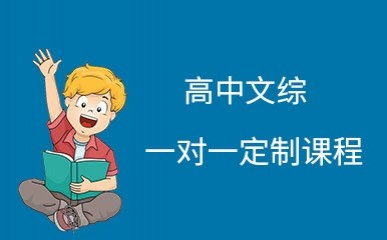 武汉高中文综一对一课程