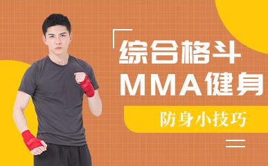 综合格斗MMA健身课程
