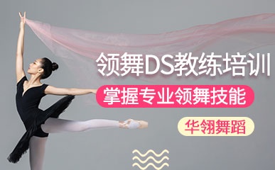 石家庄领舞DS教练课程