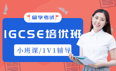上海IGCSE培优班
