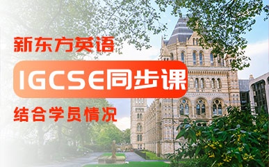 南京IB/中英班IGCSE培训