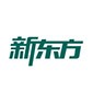 东莞新东方英语logo