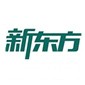 深圳新东方英语学校logo