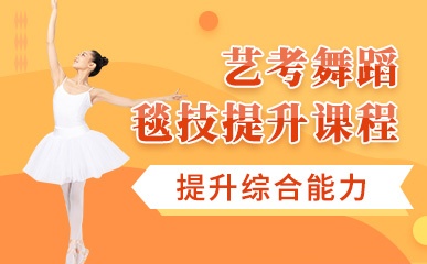 北京艺考舞蹈毯技培训