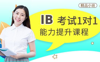 北京IB一对一培训班