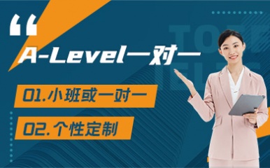 深圳A-Level1V1机构