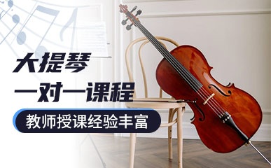 深圳大提琴培训机构