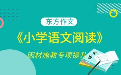 郑州小学语文阅读专项辅导