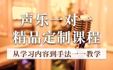 深圳声乐培训课程