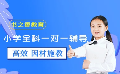 重庆小学全科一对一课程