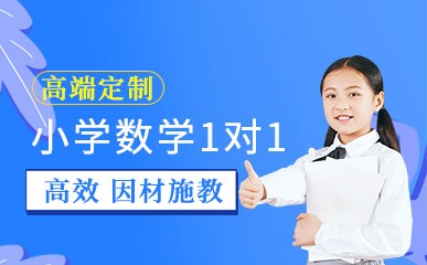 深圳小学数学一对一课