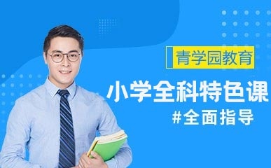 重庆小学全科课程