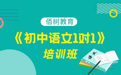 武汉初中语文1对1提升课