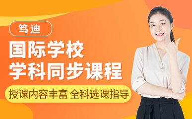 深圳国际学校学科同步辅导