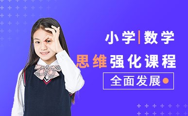 广州小学数学思维培训
