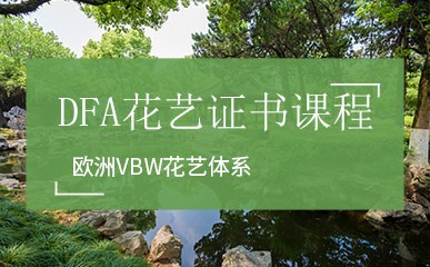 深圳DFA花艺证书课程