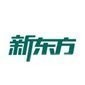 武汉新东方考研logo