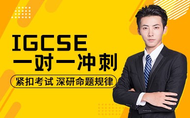上海IGCSE冲刺培训