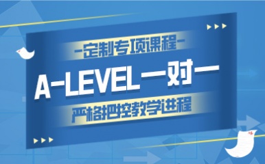 天津A-Level1对1班