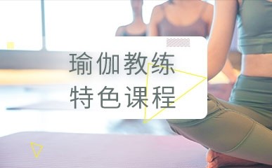 杭州瑜伽教练辅导班