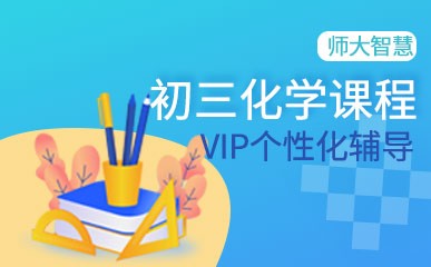 南京初三化学VIP培训班