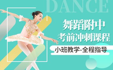 北京舞蹈艺考全日制培训