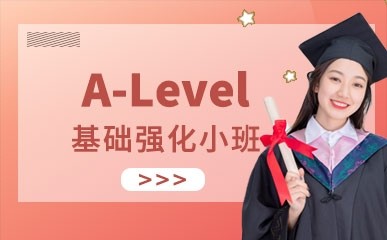 北京A-Level小班辅导
