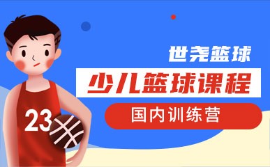 北京青少年篮球国内训练营