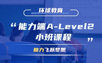 长沙A-Level2小班课程