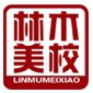 大连林木美术logo