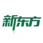 武汉新东方学校logo