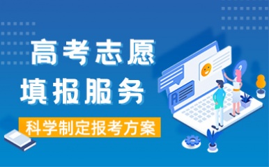 北京高考志愿填报项目