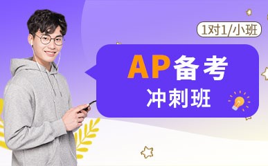 上海AP考试冲刺班