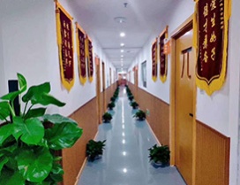 机构荣誉走廊