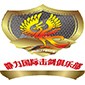 杭州静力国际击剑logo