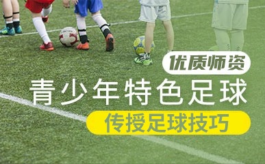 西安青少年足球训练