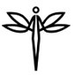 济南黑蜻蜓模特logo