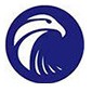成都砺鹰教育logo