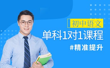 南京初中语文单科1对1培训