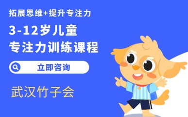 武汉3-12岁儿童专注力训练